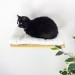 Cat shelves wall furniture for kitten