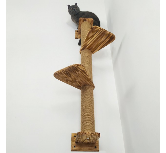 Modern furniture for cats