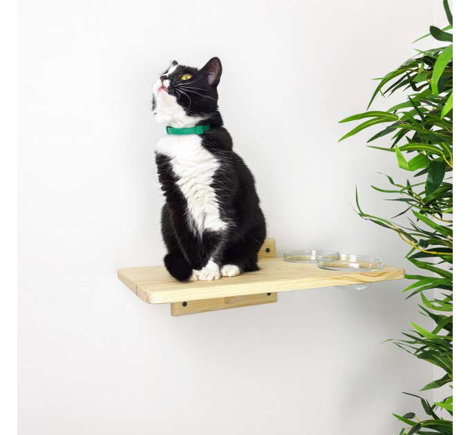 Cat lover gift feeder shelf