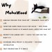 Kitten hammock and interactive play furniture for endless fun