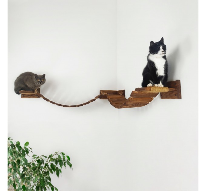 Floating cat bridge and shelves – perfect cat wall playground