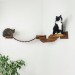 Floating cat bridge and shelves – perfect cat wall playground