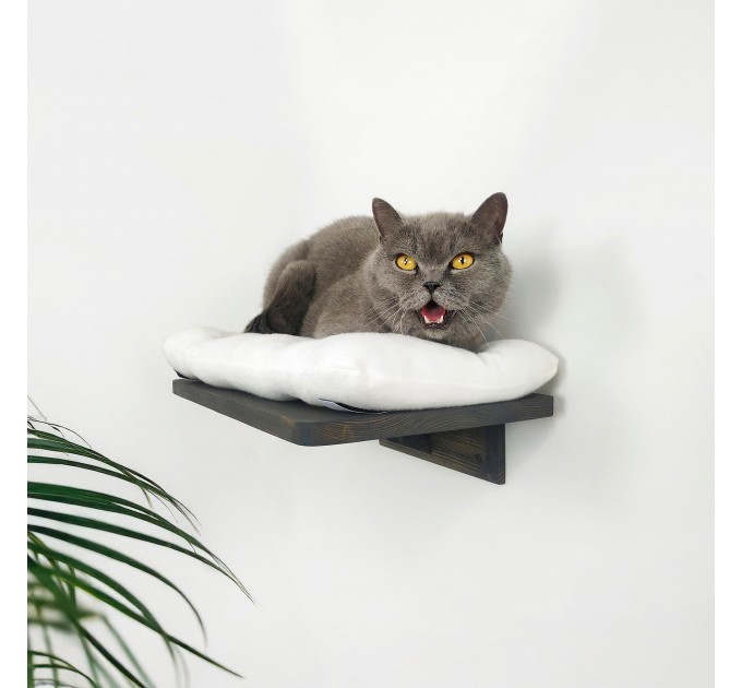 Eco-friendly wall bed with pillow for kitties