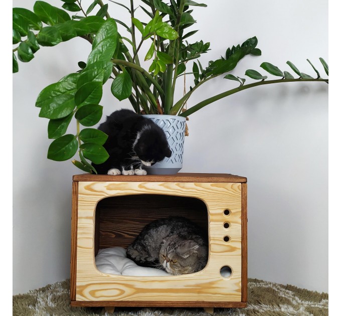 Kitten condo & cat house – perfect pet retreat