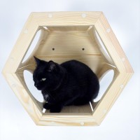 Wooden hexagon cat bed – modern wall-mounted kitten furniture