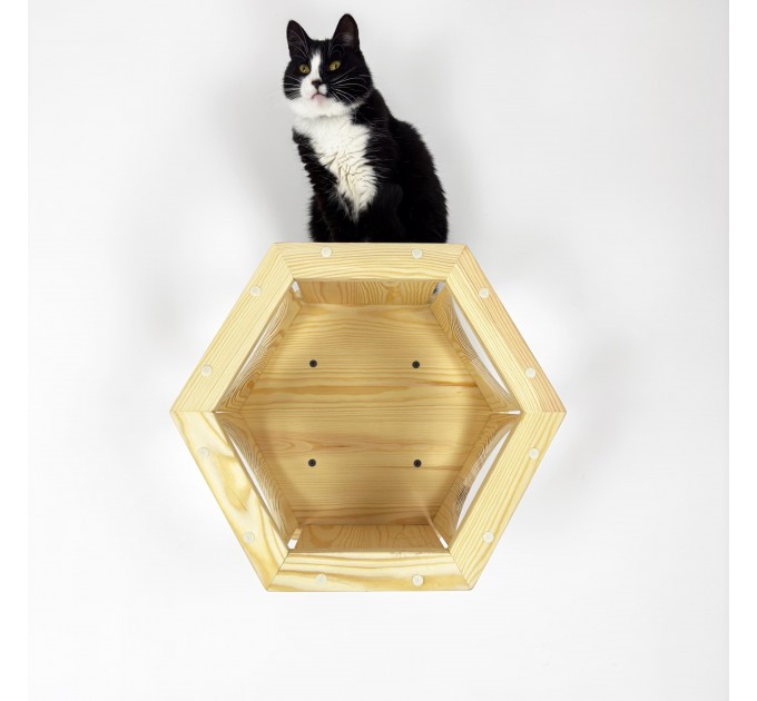 Stylish hexagon wall bed for cats – perfect for cat moms