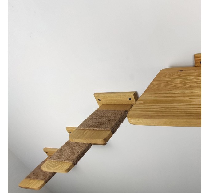 Cat wall steps and feeder shelf