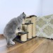 Cat scratching post with wooden pet stairs – comfort and fun