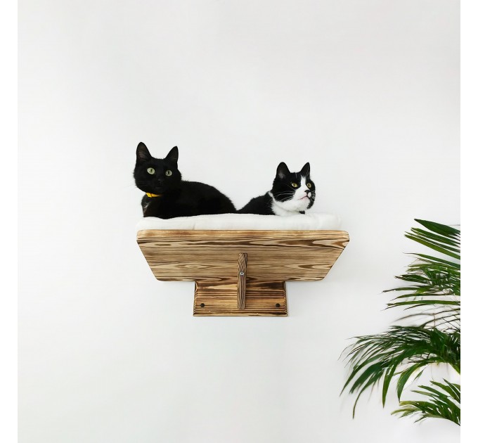 Floating shelves for cats