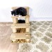 Cat scratcher for kittens – perfect scratching post for playful paws