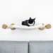 Cat shelf with hammock and wall bed, furniture for cats