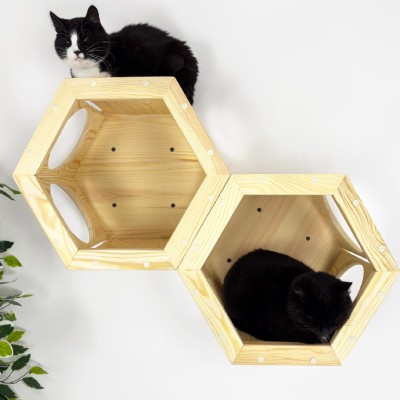 Cat Hexagon Cat Hexagon