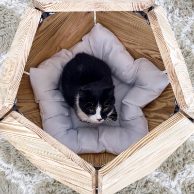 Cat house Cat house