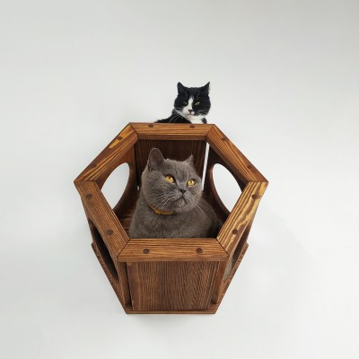Cat wall hexagon shelf cat honeycomb shelves