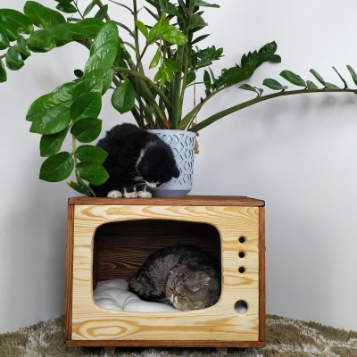 Cat house, kitten condo