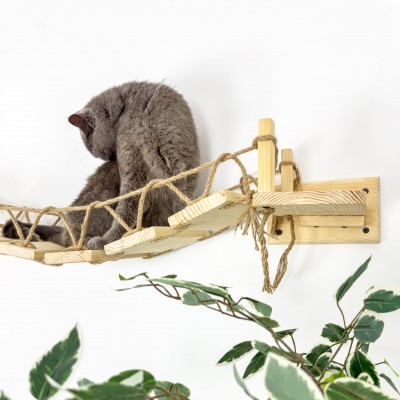 Modern wooden cat bridge – wall-mounted and ceiling walkway
