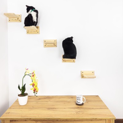 Set of 5 cat steps, climbing wall