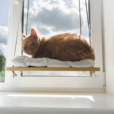 Modern cat window perch – wooden bed for cats and kittens