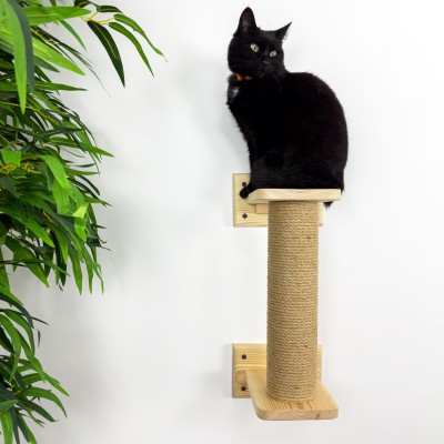 Wall-mounted kitten furniture, cat scratcher lounge