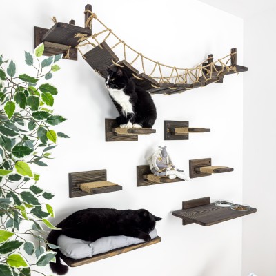Cat wall gym, bridge and food station