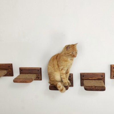 Set of 5 cat stairs with rope