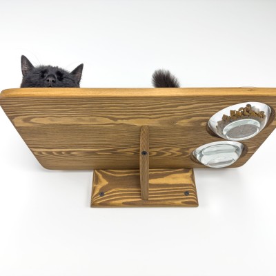 Cat shelves with space for food and water bowls