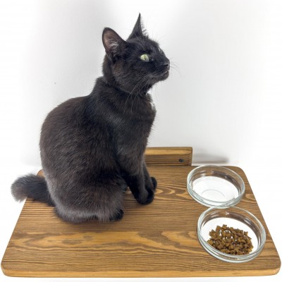 Wall mounted shelf with space for bowls