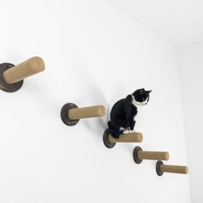 Cat climbing steps, wood perch for wall