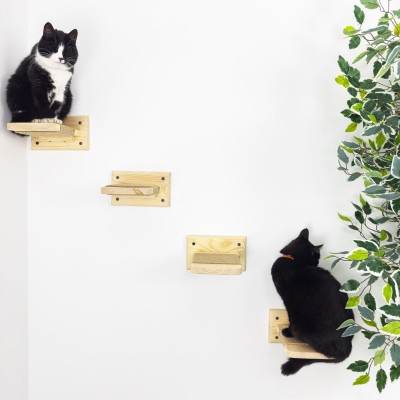 Ladder with rope, set of 4 cat steps