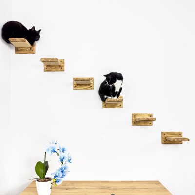Set cat 6 steps with rope