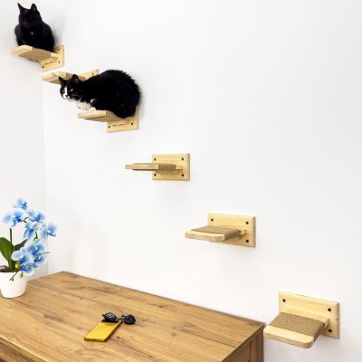 Kitten climbing wall set, cat steps