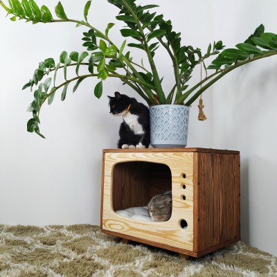 Cat house, old TV cat bed