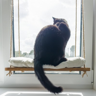 Cat window perch – foldable wooden hammock for cats and kittens