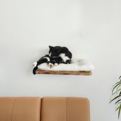 Floating shelves for cats