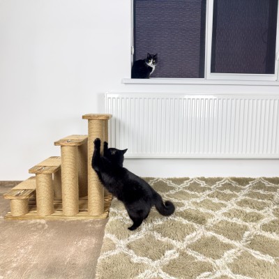 Kitten scratching post, cat ramp for high bed