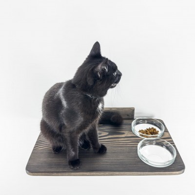 Wooden cat furniture, feeding shelf for kitten