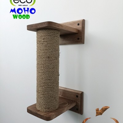 Kitten climbing pole with rope