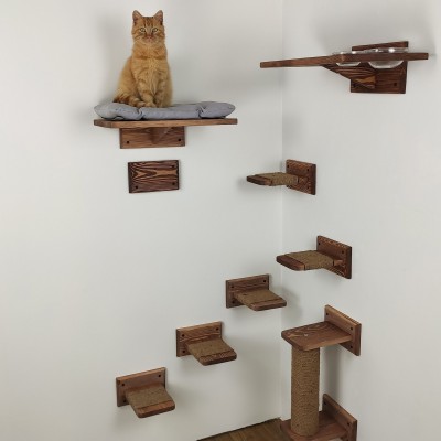 Cat wall furniture, elevated playground for active pets