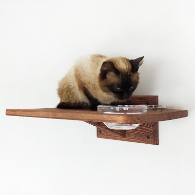 Kitten shelf with 2 bowls