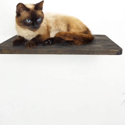 Cat climbing wall shelf