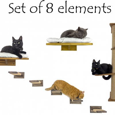 Cat wall furniture, dynamic vertical territory for active felines