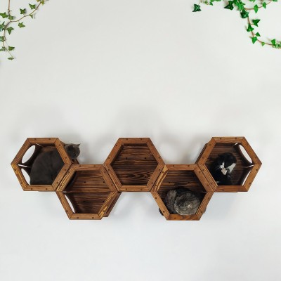 Modern hexagon shelf for cats – wall mounted cat furniture