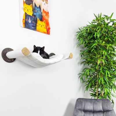 Cat ceiling hammock