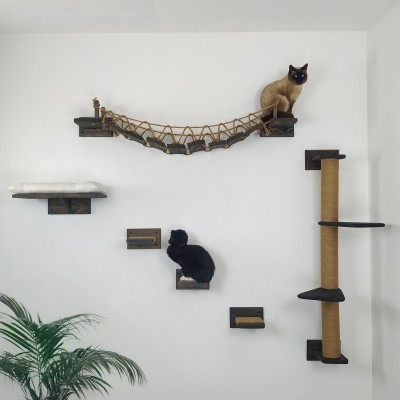 Cat wall furniture set with climbing wall and steps