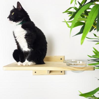 Cat lover gift feeder shelf