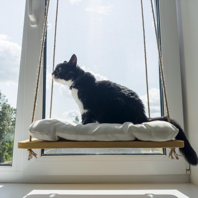 Window bed for cats – wooden cat perch & kitten shelf